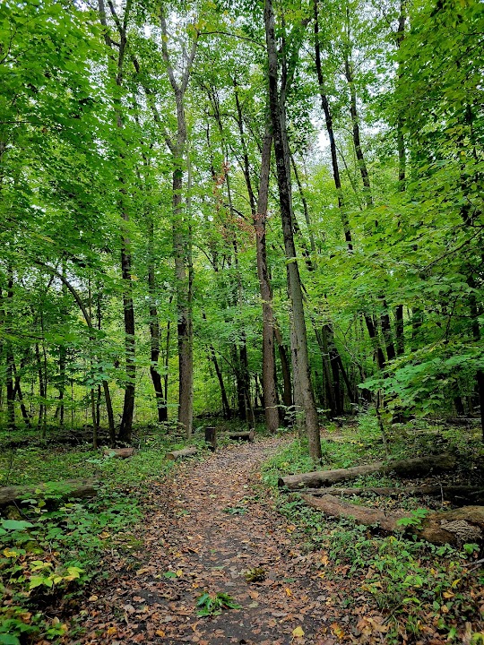 Oakhurst Forest Preserve